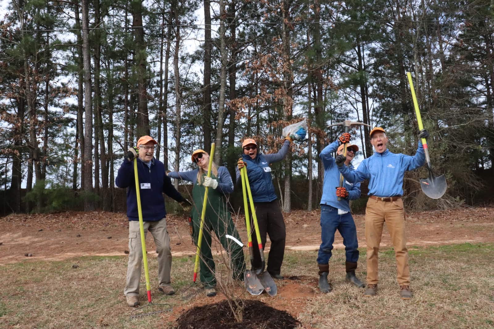 Tree canopy project