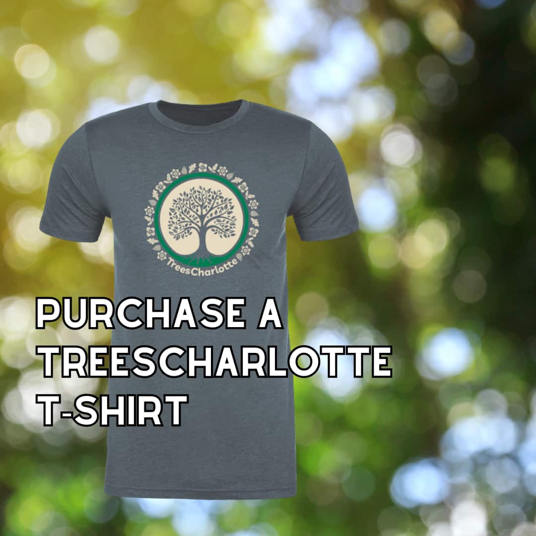 Tree care program
